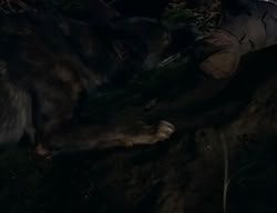 extant_XenaWarriorPrincess_2x04-GirlsJustWannaHaveFun_00401