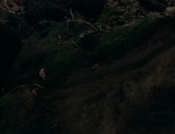 extant_XenaWarriorPrincess_2x04-GirlsJustWannaHaveFun_00402