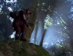 extant_XenaWarriorPrincess_2x04-GirlsJustWannaHaveFun_00404