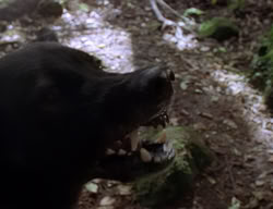 extant_XenaWarriorPrincess_2x04-GirlsJustWannaHaveFun_00405