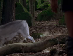 extant_XenaWarriorPrincess_2x04-GirlsJustWannaHaveFun_00410