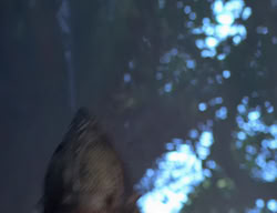 extant_XenaWarriorPrincess_2x04-GirlsJustWannaHaveFun_00437