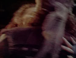 extant_XenaWarriorPrincess_2x04-GirlsJustWannaHaveFun_01156