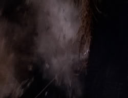 extant_XenaWarriorPrincess_2x04-GirlsJustWannaHaveFun_01207