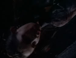 extant_XenaWarriorPrincess_2x04-GirlsJustWannaHaveFun_01216