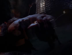 extant_XenaWarriorPrincess_2x04-GirlsJustWannaHaveFun_01904