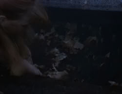 extant_XenaWarriorPrincess_2x04-GirlsJustWannaHaveFun_02120