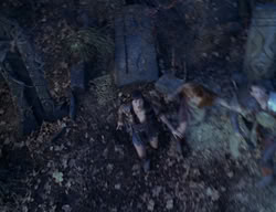 extant_XenaWarriorPrincess_2x04-GirlsJustWannaHaveFun_02185