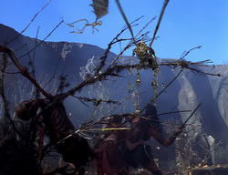 extant_XenaWarriorPrincess_2x04-GirlsJustWannaHaveFun_02216