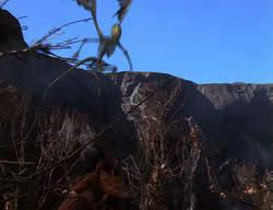 extant_XenaWarriorPrincess_2x04-GirlsJustWannaHaveFun_02234