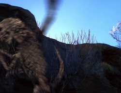 extant_XenaWarriorPrincess_2x04-GirlsJustWannaHaveFun_02241