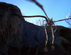 extant_XenaWarriorPrincess_2x04-GirlsJustWannaHaveFun_02243