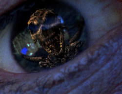 extant_XenaWarriorPrincess_2x04-GirlsJustWannaHaveFun_02265