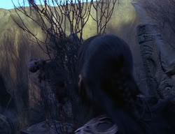 extant_XenaWarriorPrincess_2x04-GirlsJustWannaHaveFun_02282