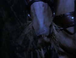 extant_XenaWarriorPrincess_2x04-GirlsJustWannaHaveFun_02328