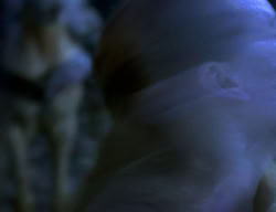 extant_XenaWarriorPrincess_2x04-GirlsJustWannaHaveFun_02377