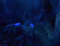 extant_XenaWarriorPrincess_2x04-GirlsJustWannaHaveFun_02403