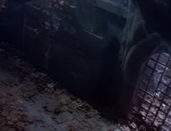 extant_XenaWarriorPrincess_2x04-GirlsJustWannaHaveFun_02501