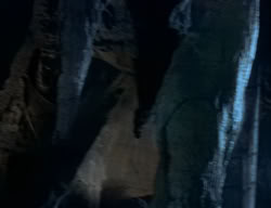 extant_XenaWarriorPrincess_2x04-GirlsJustWannaHaveFun_02675