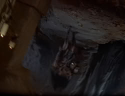 extant_XenaWarriorPrincess_2x04-GirlsJustWannaHaveFun_02872