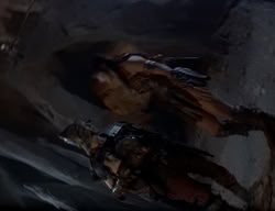 extant_XenaWarriorPrincess_2x04-GirlsJustWannaHaveFun_02874