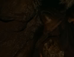 extant_XenaWarriorPrincess_2x04-GirlsJustWannaHaveFun_03049