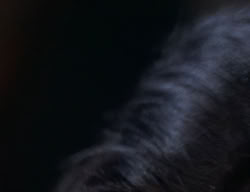 extant_XenaWarriorPrincess_2x04-GirlsJustWannaHaveFun_03478