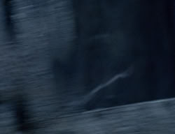 extant_XenaWarriorPrincess_2x05-ReturnOfCallisto_00248