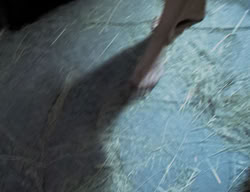 extant_XenaWarriorPrincess_2x05-ReturnOfCallisto_00253