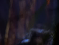 extant_XenaWarriorPrincess_2x05-ReturnOfCallisto_01683