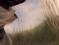 extant_XenaWarriorPrincess_2x05-ReturnOfCallisto_01747