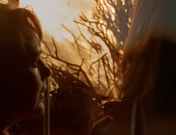extant_XenaWarriorPrincess_2x05-ReturnOfCallisto_01917