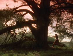 extant_XenaWarriorPrincess_2x05-ReturnOfCallisto_01987
