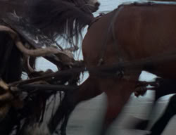 extant_XenaWarriorPrincess_2x05-ReturnOfCallisto_03228