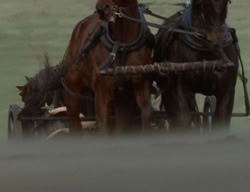 extant_XenaWarriorPrincess_2x05-ReturnOfCallisto_03327