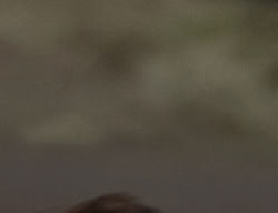 extant_XenaWarriorPrincess_2x05-ReturnOfCallisto_03368