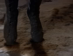 extant_XenaWarriorPrincess_2x06-WarriorPrincessTramp_00864