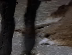 extant_XenaWarriorPrincess_2x06-WarriorPrincessTramp_00865