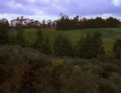 extant_XenaWarriorPrincess_2x06-WarriorPrincessTramp_01374