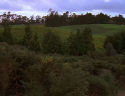 extant_XenaWarriorPrincess_2x06-WarriorPrincessTramp_01376