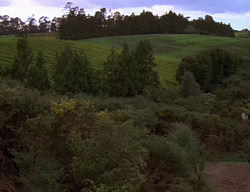 extant_XenaWarriorPrincess_2x06-WarriorPrincessTramp_01378