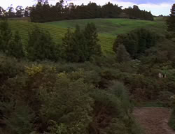 extant_XenaWarriorPrincess_2x06-WarriorPrincessTramp_01379