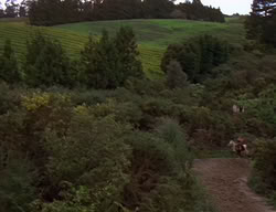 extant_XenaWarriorPrincess_2x06-WarriorPrincessTramp_01380