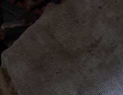 extant_XenaWarriorPrincess_2x06-WarriorPrincessTramp_01911