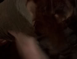 extant_XenaWarriorPrincess_2x06-WarriorPrincessTramp_01913