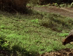 extant_XenaWarriorPrincess_2x06-WarriorPrincessTramp_02018