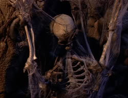 extant_XenaWarriorPrincess_2x06-WarriorPrincessTramp_02098