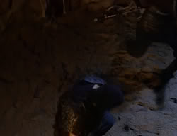 extant_XenaWarriorPrincess_2x06-WarriorPrincessTramp_02198