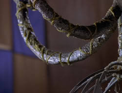 extant_XenaWarriorPrincess_2x06-WarriorPrincessTramp_03166