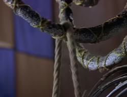 extant_XenaWarriorPrincess_2x06-WarriorPrincessTramp_03332